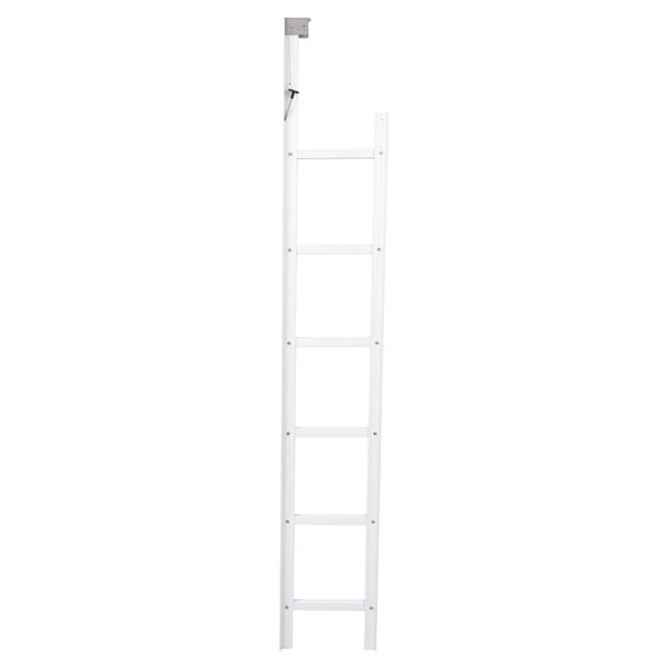 Fire Escape Ladder