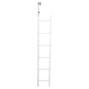 Fire Escape Ladder