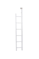 Fire Escape Ladder